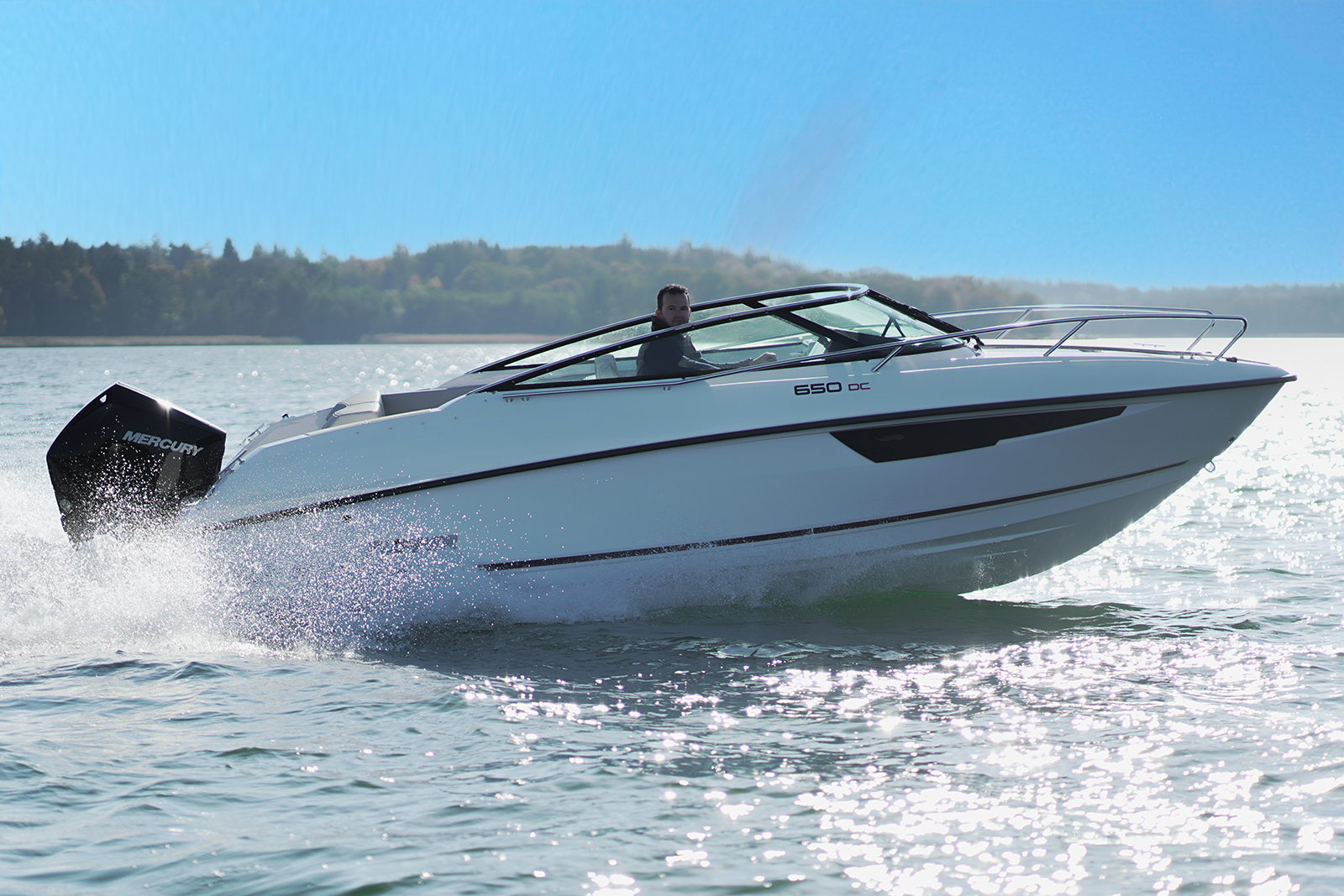 Flipper 650DC